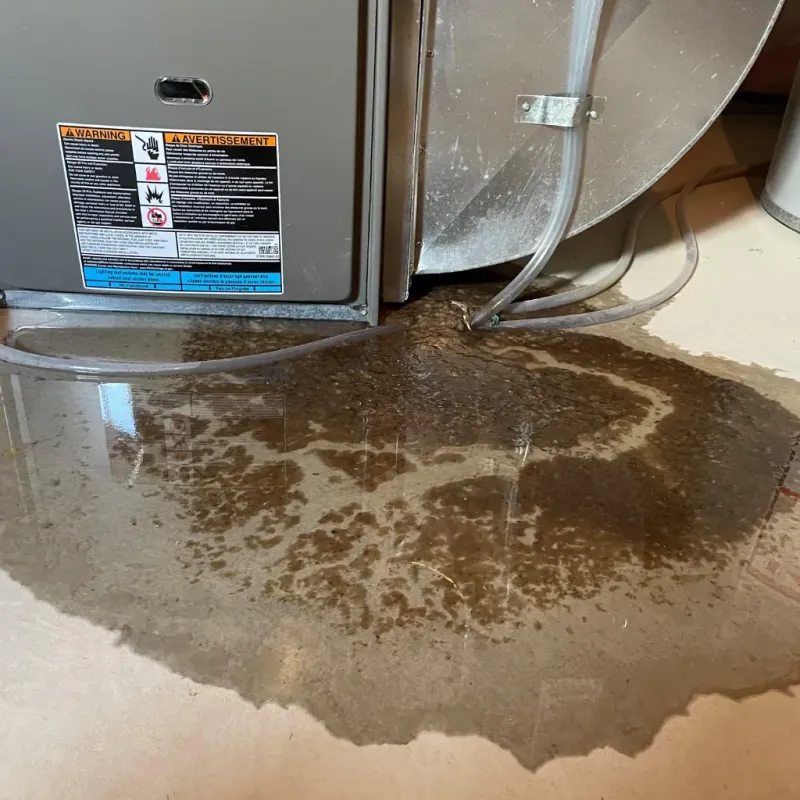 Appliance Leak Cleanup in Imbery, PR