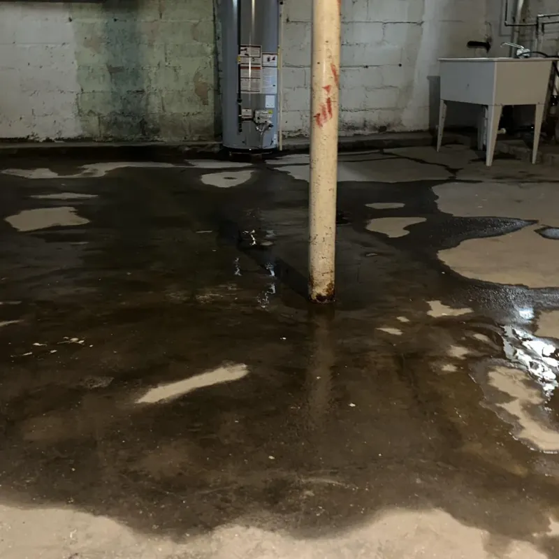 Emergency Water Extraction And Removal in Imbery, PR